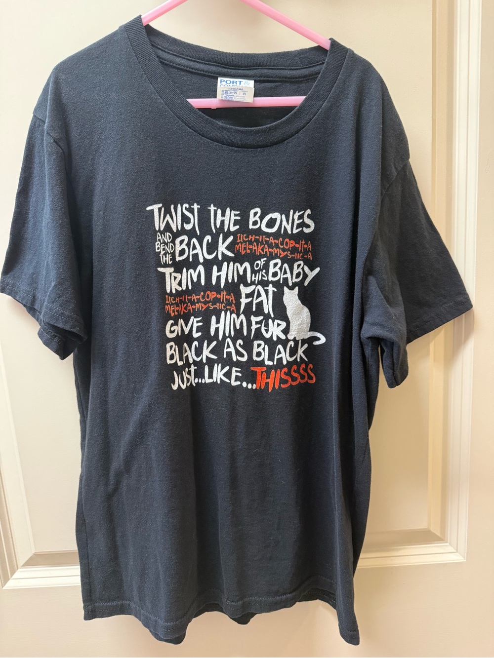Halloween Graphic Black Cat Tee with White & Orange Script - hocus pocus